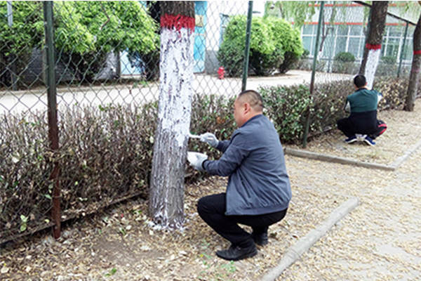 科海集團“美化環(huán)境保護樹木”活動紀(jì)實 科海集團“美化環(huán)境保護樹木”活動紀(jì)實